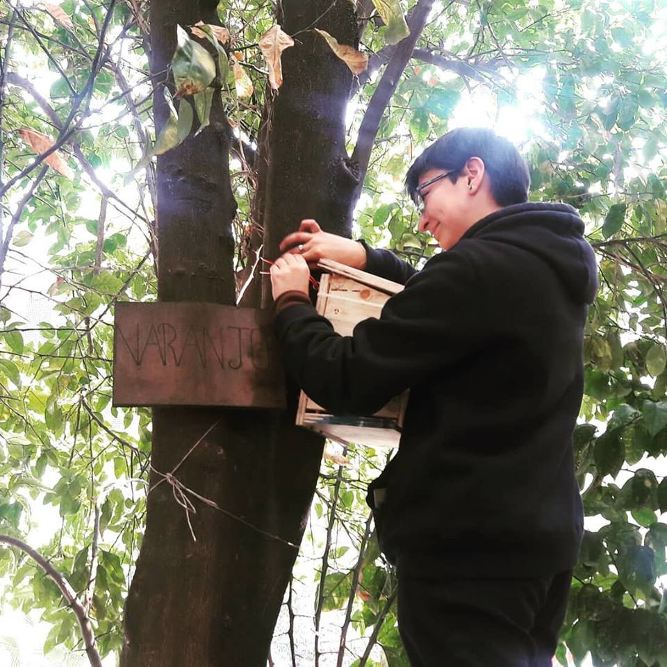 Alumnos de colegios municipales de Providencia aprendieron sobre las aves que viven en la comuna